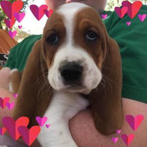 Meet your Posher, Marie catherine